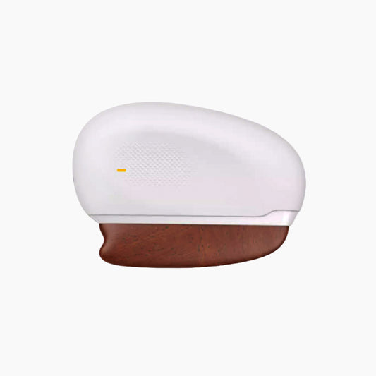 Bianstone Constant Temperature Facial Electronic Gua Sha Tool